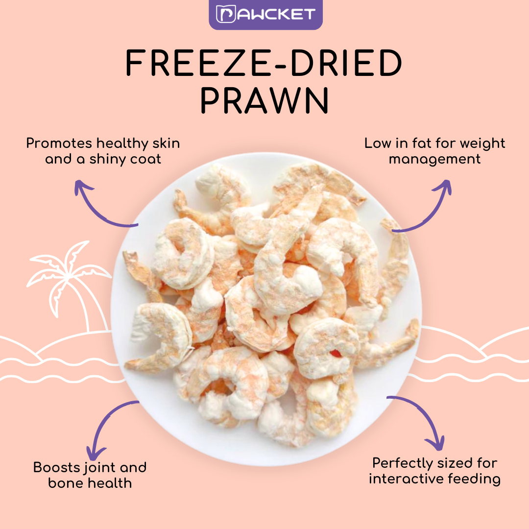 Pawcket Freeze-Dried Prawn - Raw Cat & Dog Treats