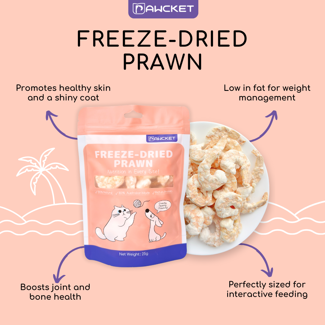 Pawcket Freeze-Dried Prawn - Raw Cat & Dog Treats