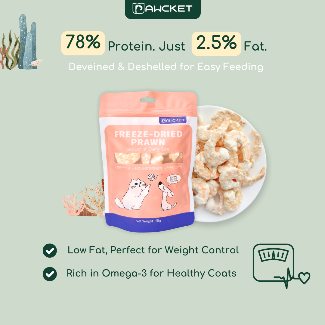 Pawcket Freeze-Dried Prawn - Raw Cat & Dog Treats
