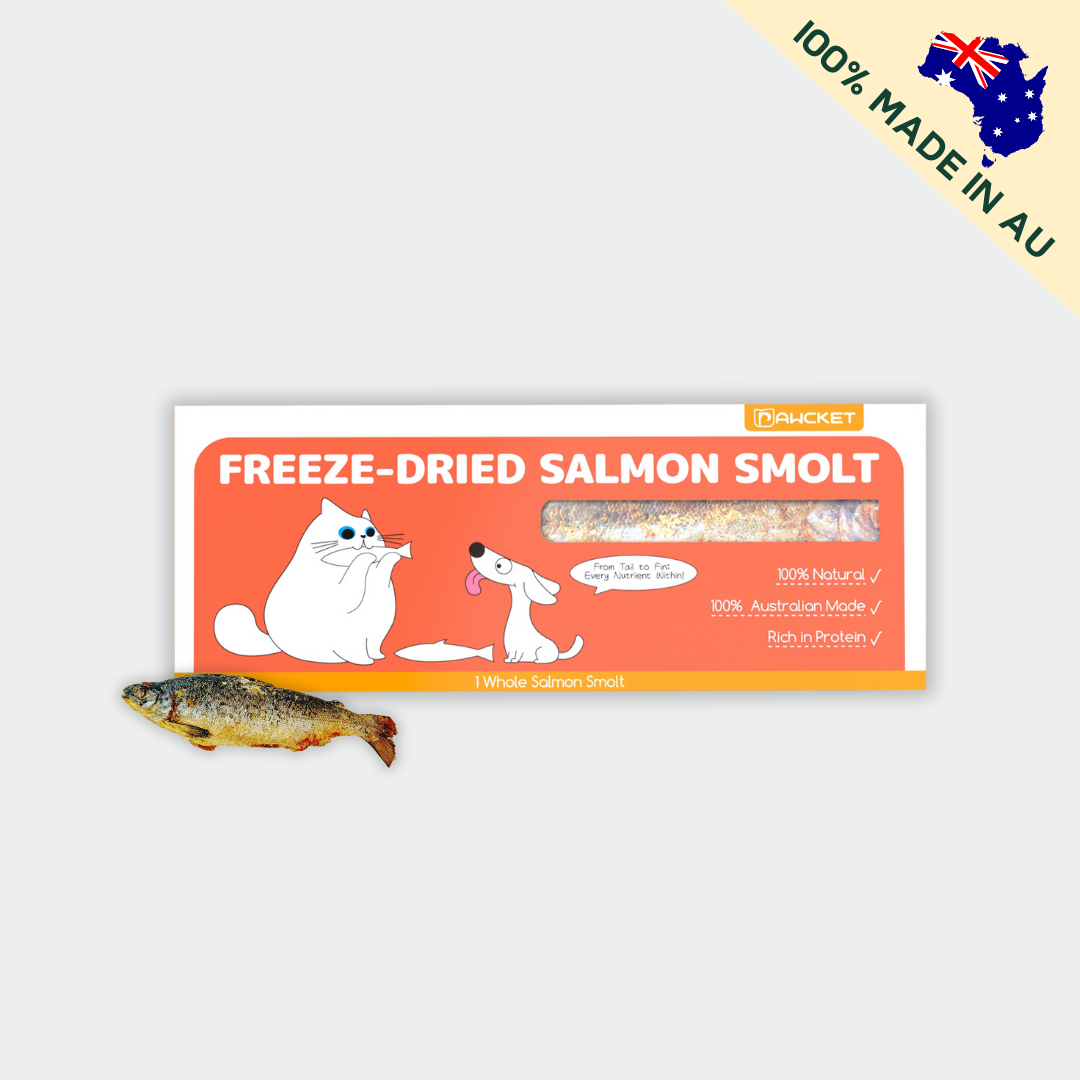 Pawcket Freeze-Dried Salmon Smolt - Raw Cat & Dog Treats