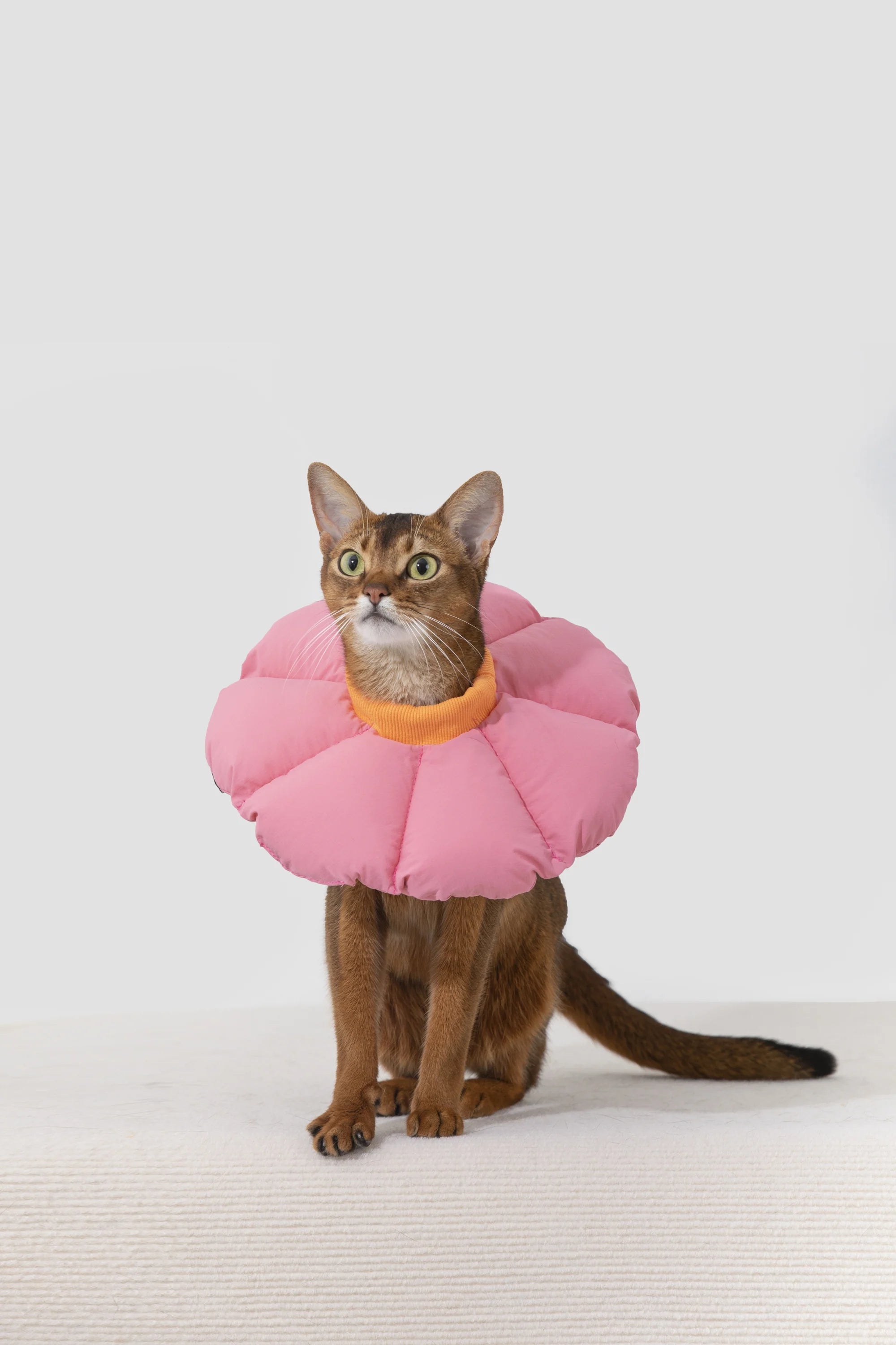 Cat Flower Cone Anti-Bite Elizabethan Waterproof Recovery Collar