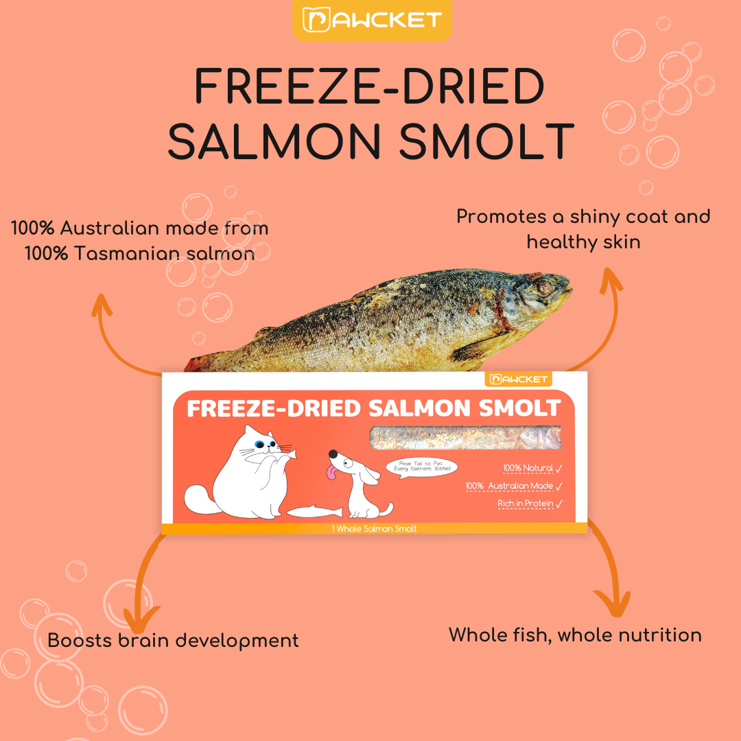 Pawcket Freeze-Dried Salmon Smolt - Raw Cat & Dog Treats