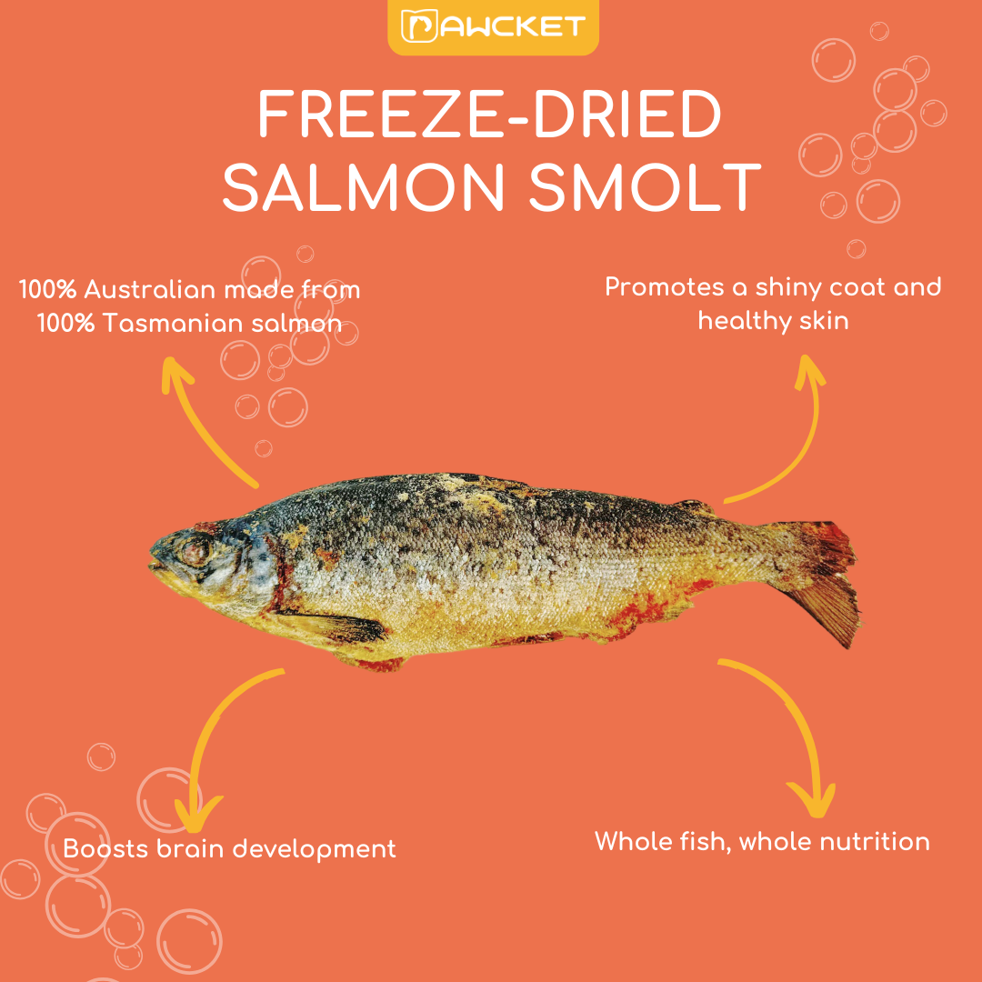 Pawcket Freeze-Dried Salmon Smolt - Raw Cat & Dog Treats