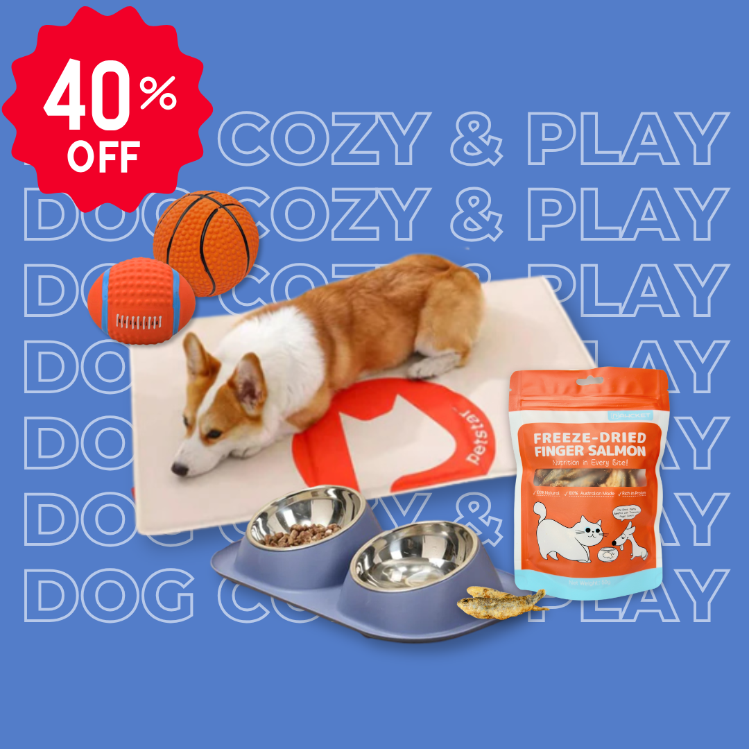 Essential Dog Cozy & Play Bundle