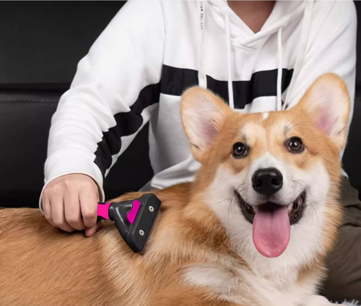 Automatic Pet Hair Removal Knife Comb Medium Size - Happy 4 Paws