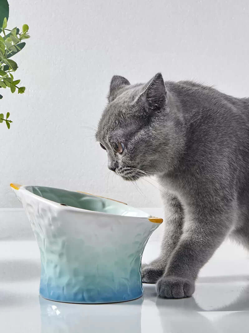 Fish Colored Ceramic Elevated Cat Bowl, Tilted Raised Dish for Cat or Dog - Happy 4 Paws