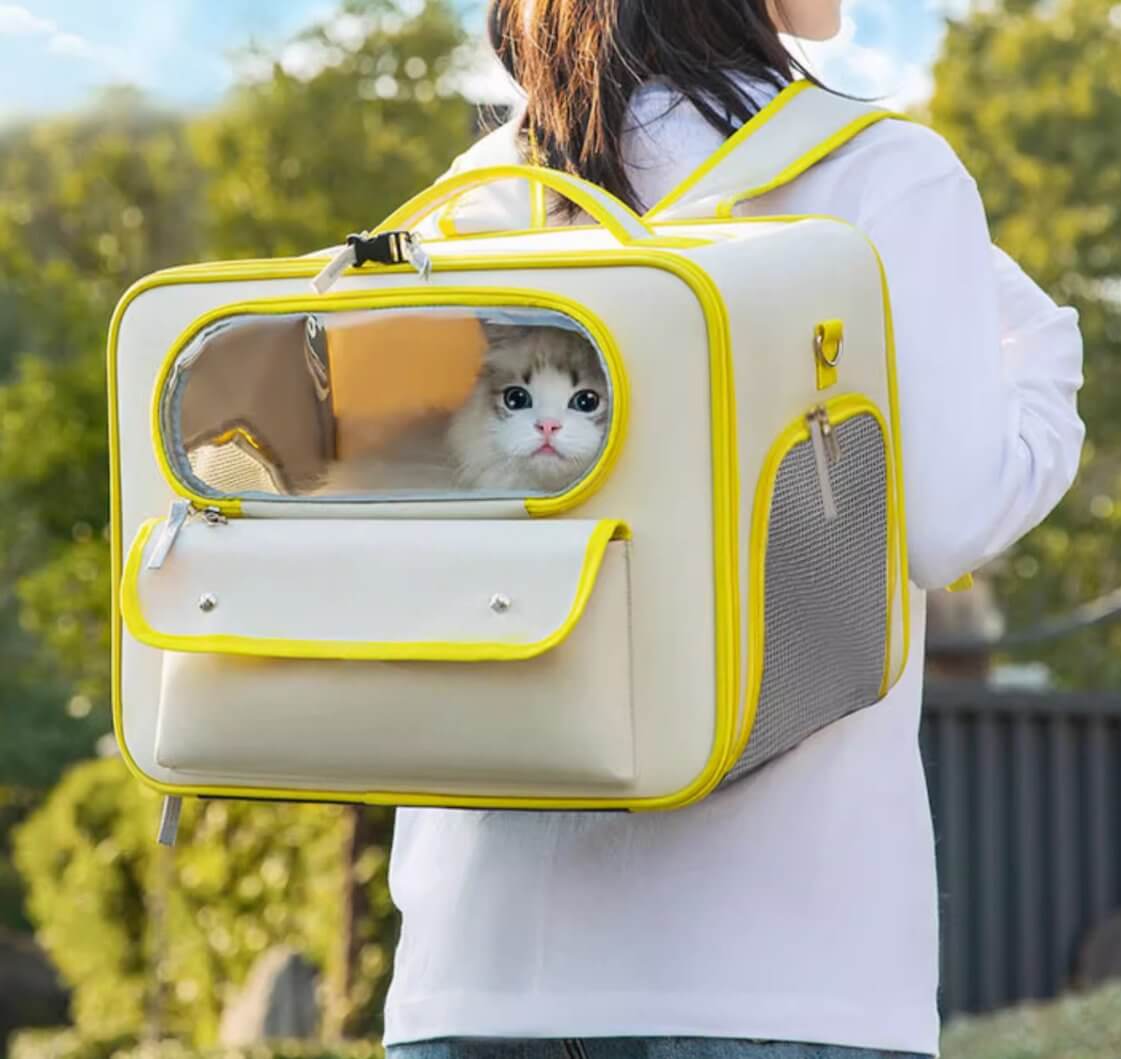 Large Space Pet Carrier Bag Travel Container for Cats Small Dogs - Happy 4 Paws