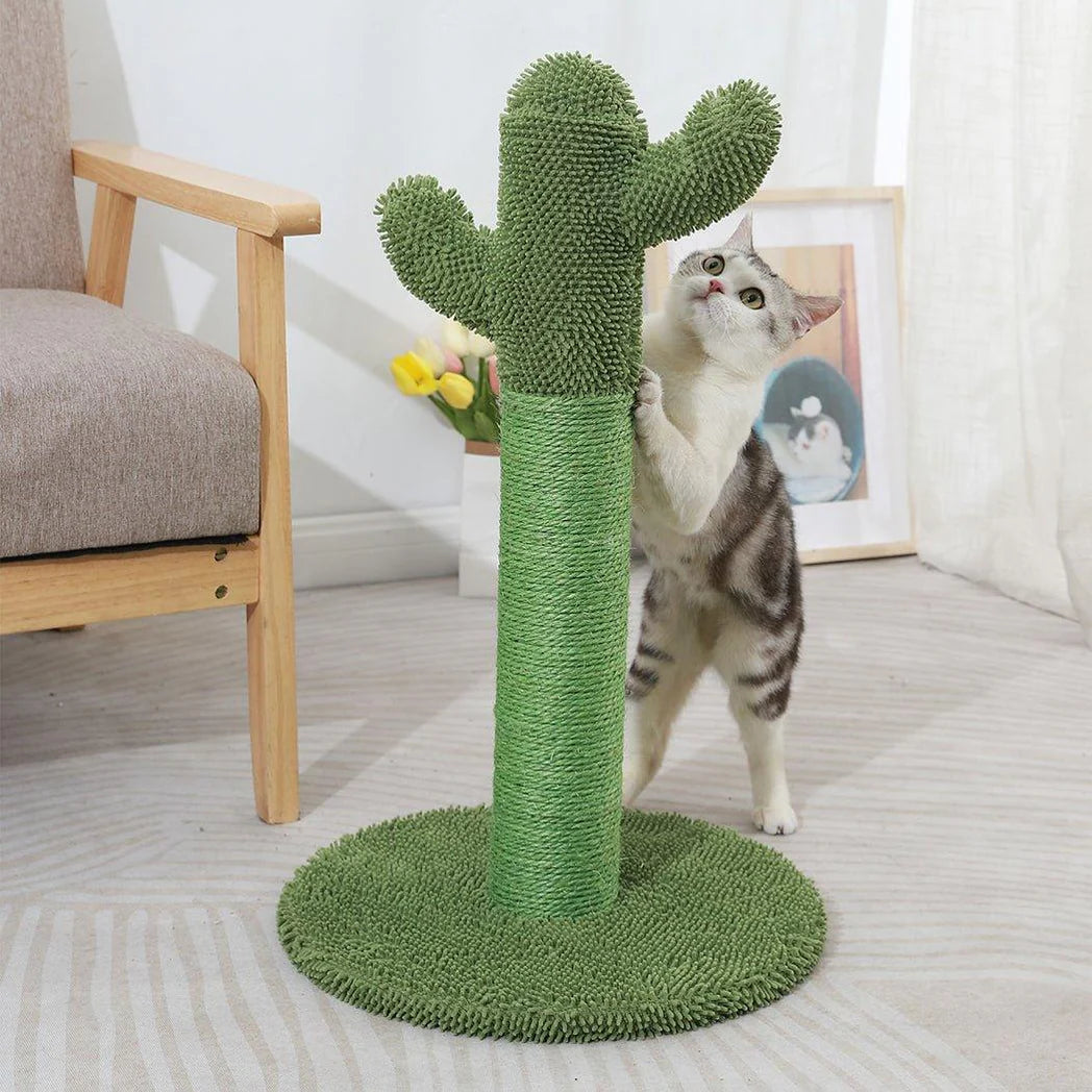Cactus Cat Scratching Pole