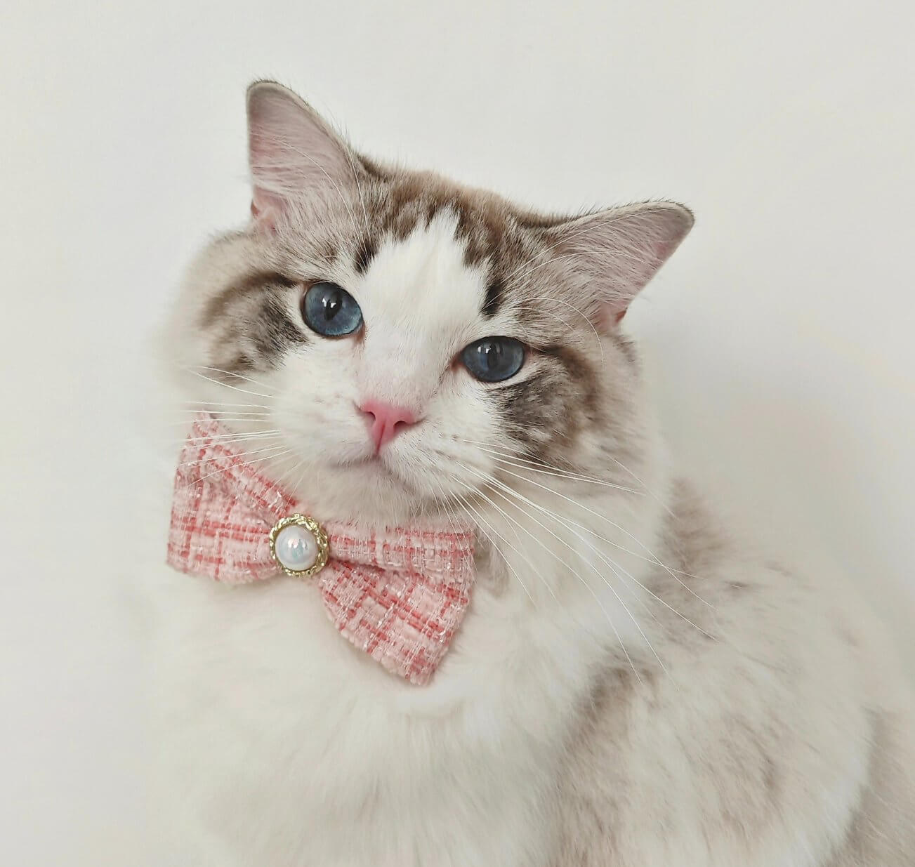 Pet Braided Plaid Collar Adjustable Breakaway with Vintage Pearl Bow Tie for Cats under 10kg - Happy 4 Paws