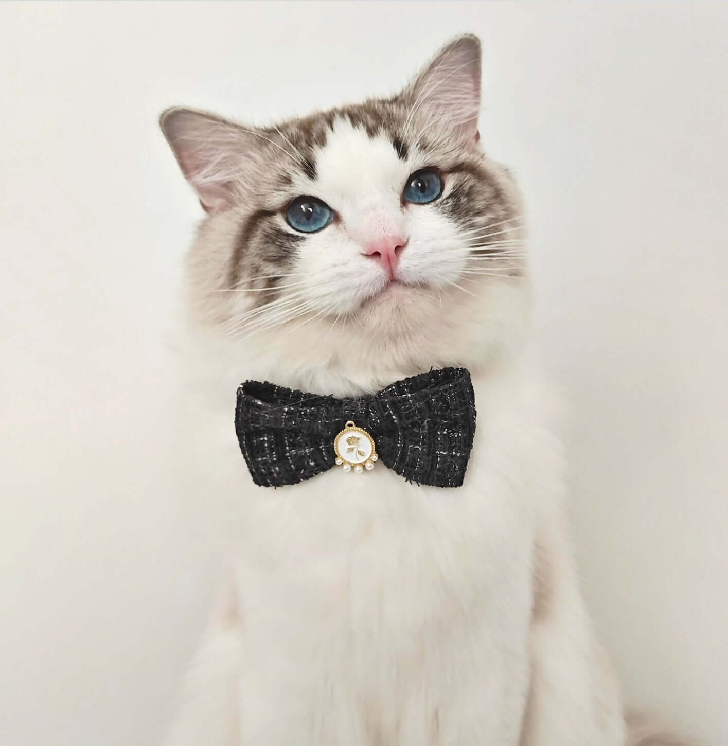 Pet Braided Plaid Collar Adjustable Breakaway with Vintage Pearl Bow Tie for Cats under 10kg - Happy 4 Paws