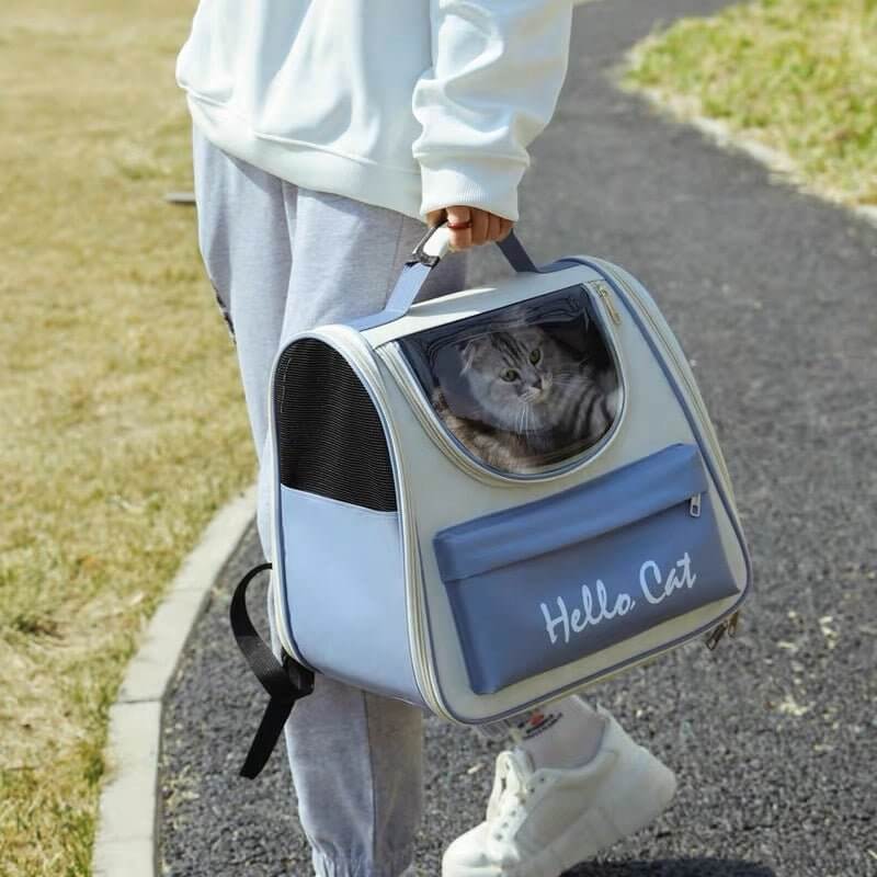 Pet Casual Breathable Container Large Space Cute Carrier Bag For Cats Small Dogs - Happy 4 Paws