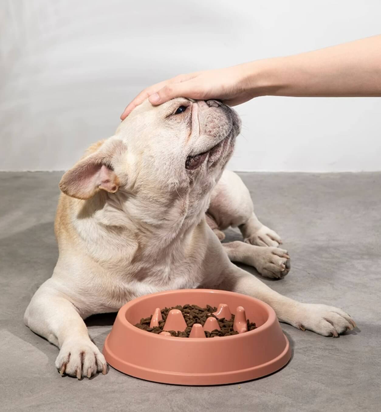 Slow Feeder Dog Food Bowl Interactive Puzzle Pan - Happy 4 Paws
