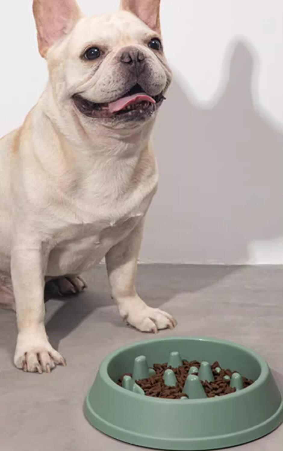 Slow Feeder Dog Food Bowl Interactive Puzzle Pan - Happy 4 Paws