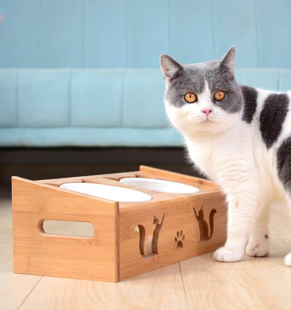 Minimalist Bamboo Double Bowl Elevated Ceramic Bowl for Small Dogs Cats