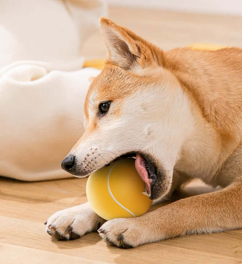 Pet Toy Tennis Ball for Dogs Play For Fun - Happy 4 Paws