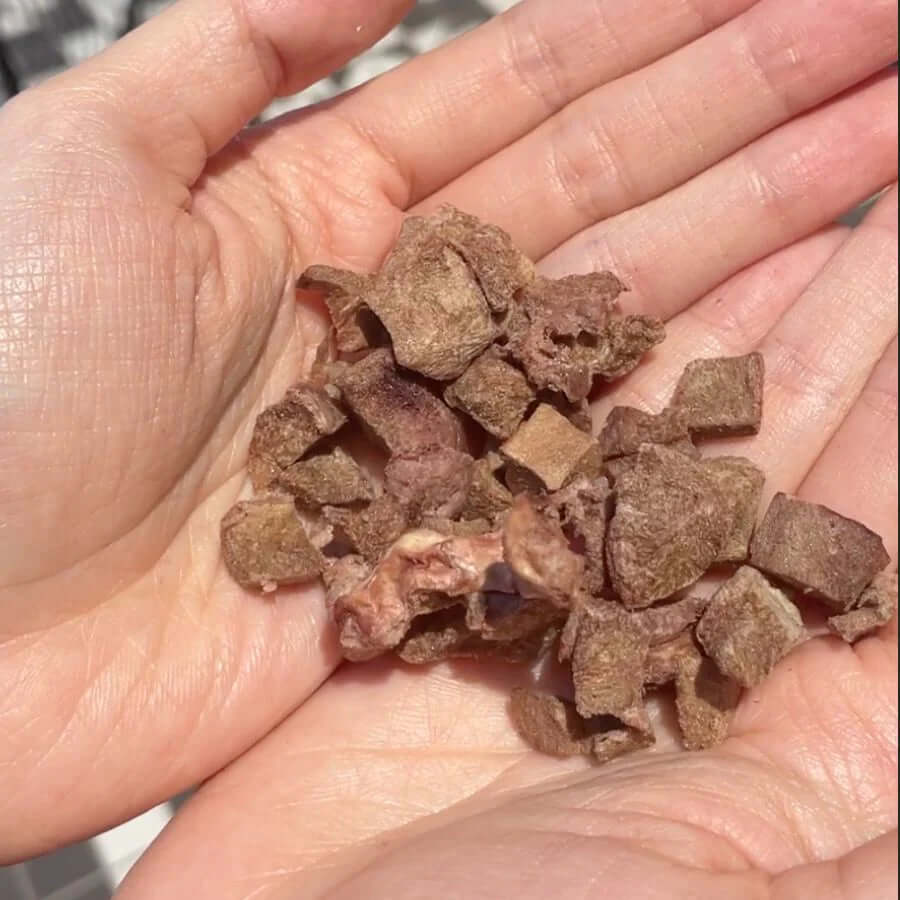 The Paw Grocer Freeze Diced Lamb Hearts 90g - Happy 4 Paws