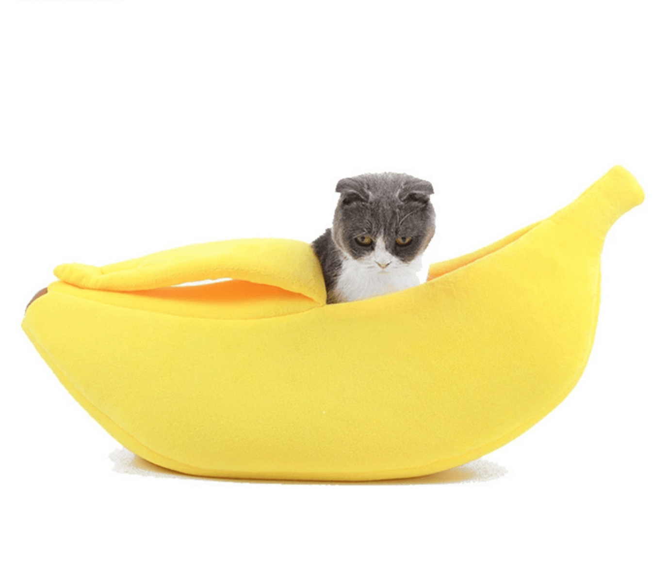 Banana Bed For Cats with Green Pink and Yellow - Happy 4 Paws