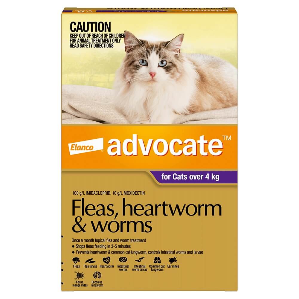 Advocate Cat Large 4kg+ Purple - 3pk - Happy 4 Paws