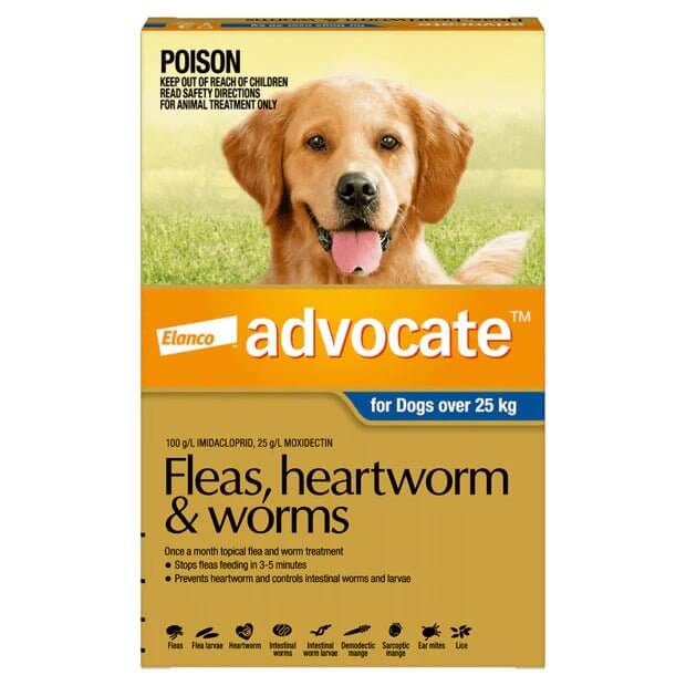 Advocate Dog Extra Large 25kg+ Dark Blue - 3pk - Happy 4 Paws