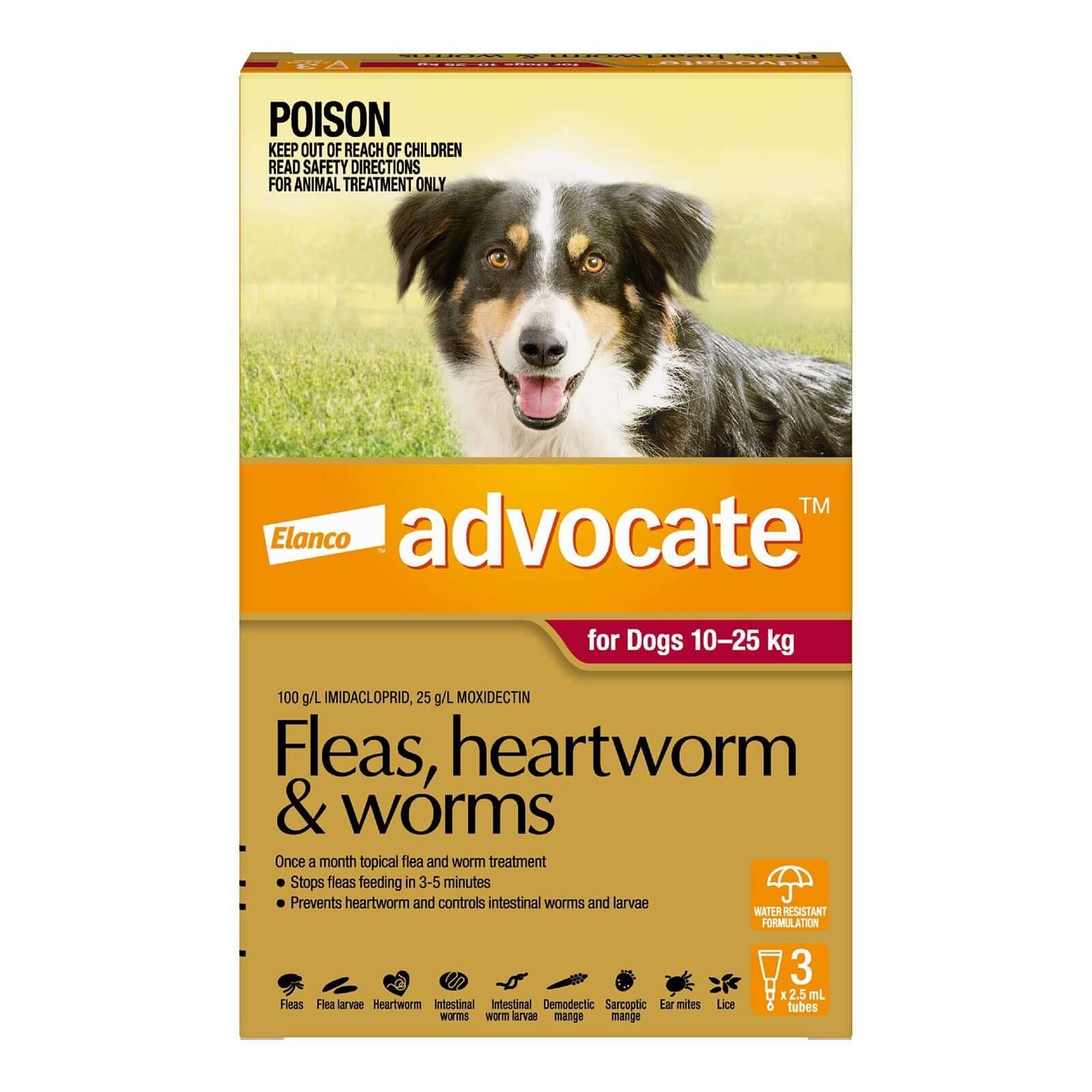 Advocate Dog Large 10 - 25kg Red - 3pk - Happy 4 Paws