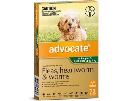 Advocate Dog Small 0 - 4kg Green - 3pk - Happy 4 Paws