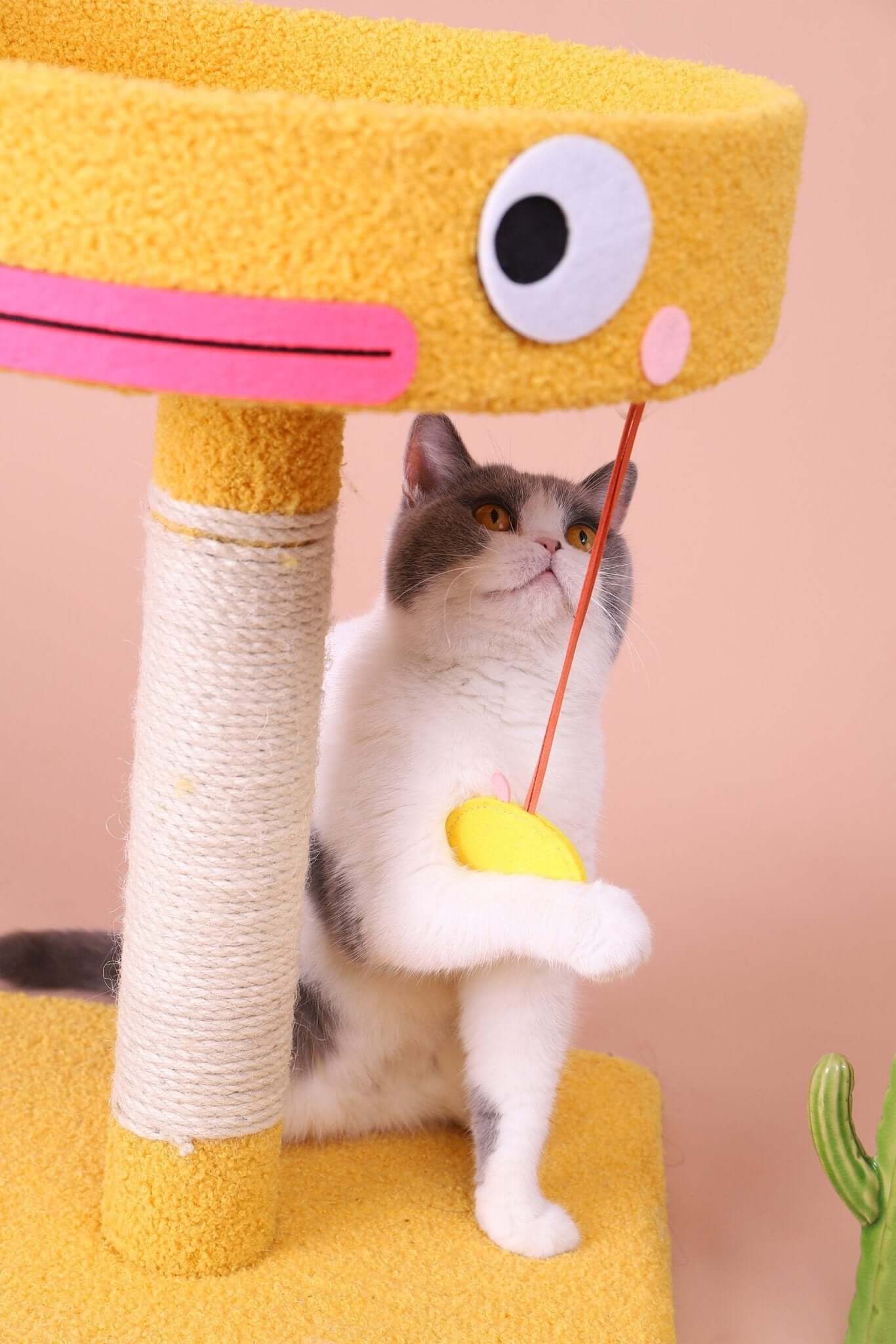 Cartoon Clumsy Chicken Cat Scratcher Tree - Happy 4 Paws