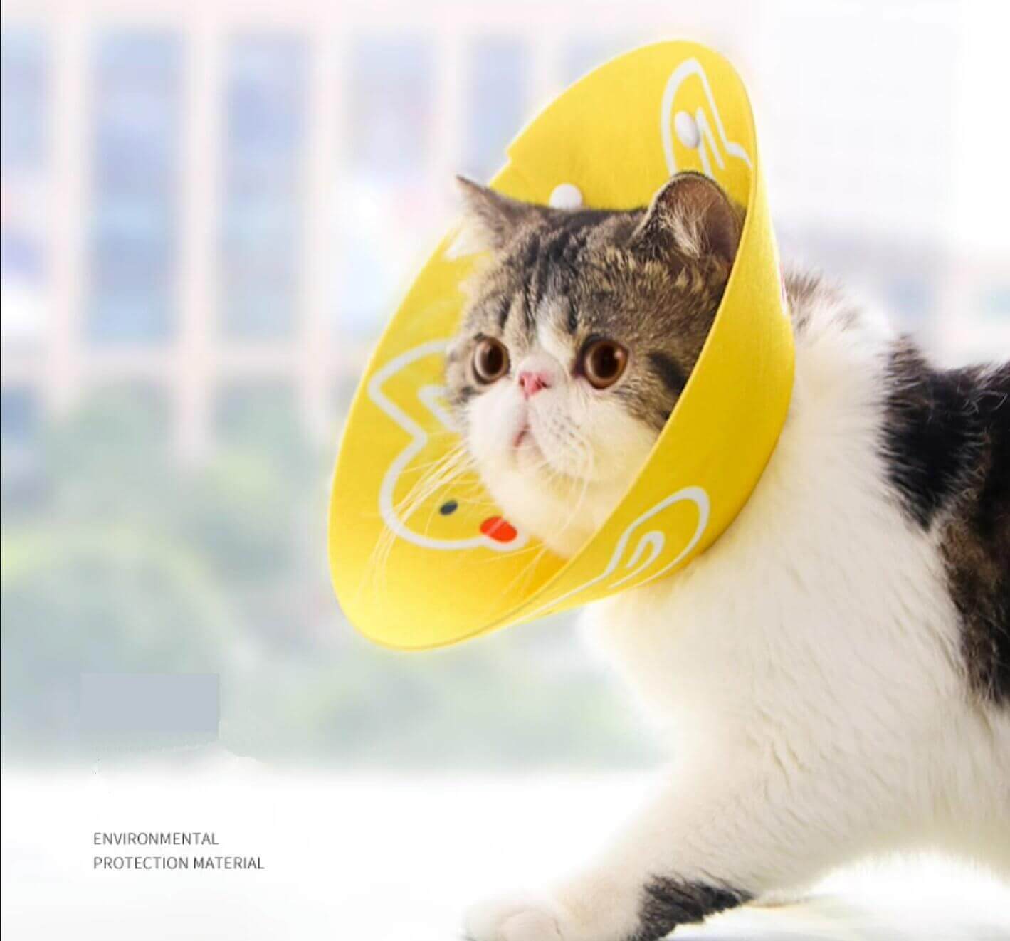 Cat Cone Anti - Bite Elizabethan Waterproof Recovery Collar with Cartoon Pattern - Happy 4 Paws