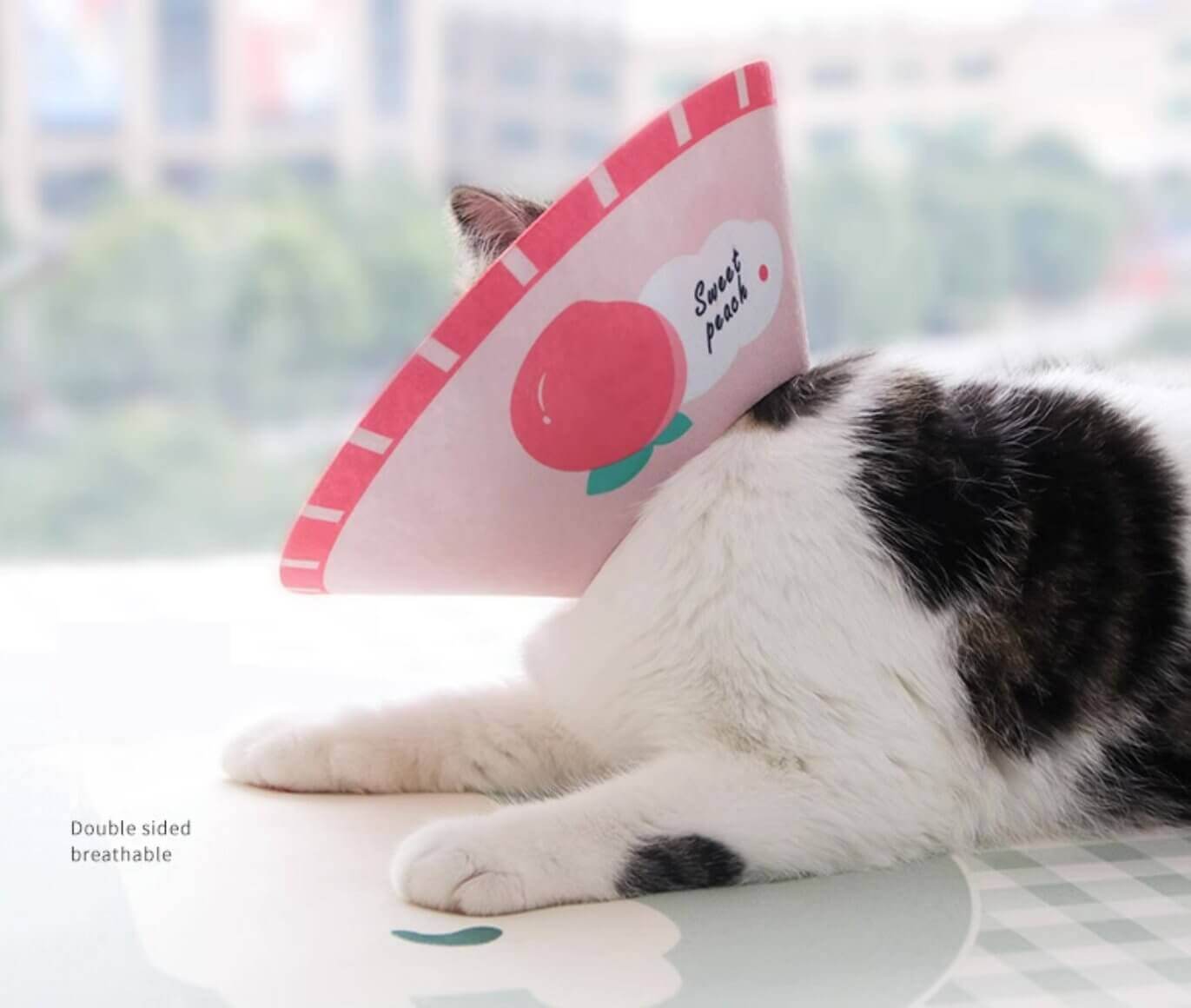 Cat Cone Anti - Bite Elizabethan Waterproof Recovery Collar with Cartoon Pattern - Happy 4 Paws