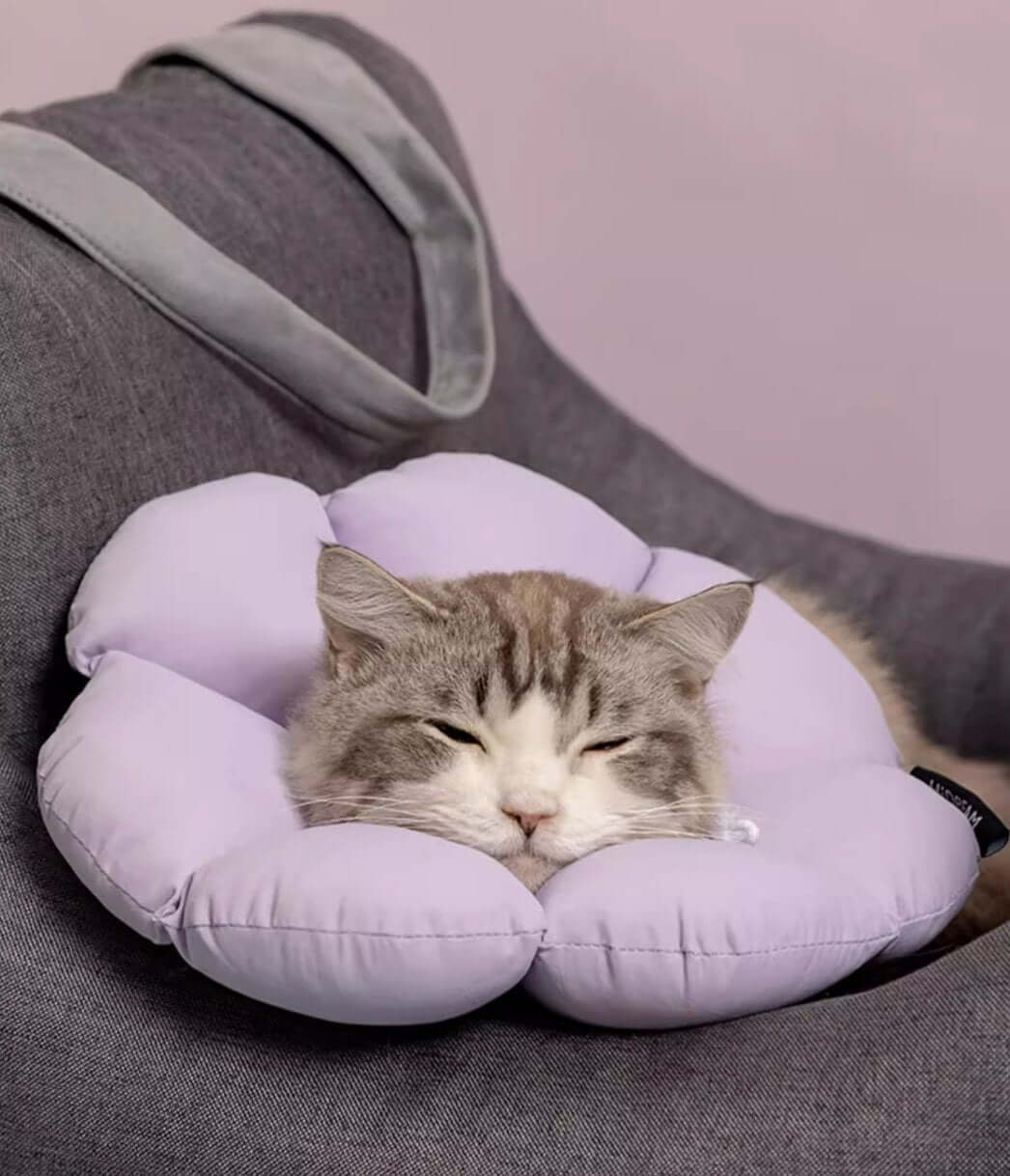 Cat Flower Cone Anti - Bite Elizabethan Waterproof Recovery Collar - Happy 4 Paws