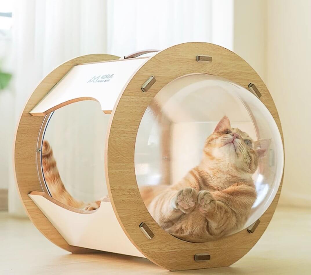 Cat Wooden Pet Bed Space Capsule with Cushion - Happy 4 Paws