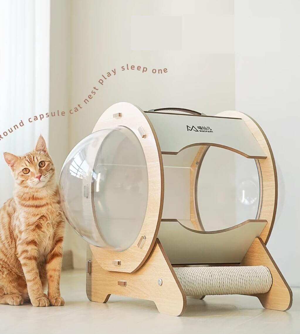 Cat Wooden Pet Bed Space Capsule with Cushion - Happy 4 Paws