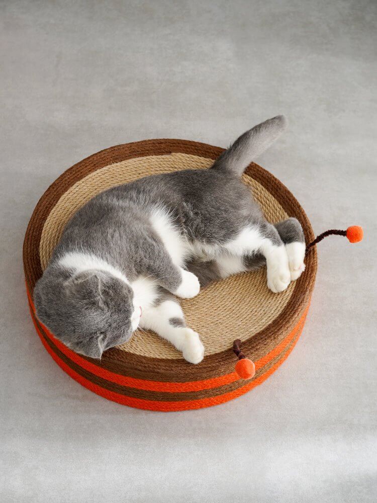 Cute Bee Cat Scratcher Cat Pad Scratching Sisal Bowl Bed - Happy 4 Paws