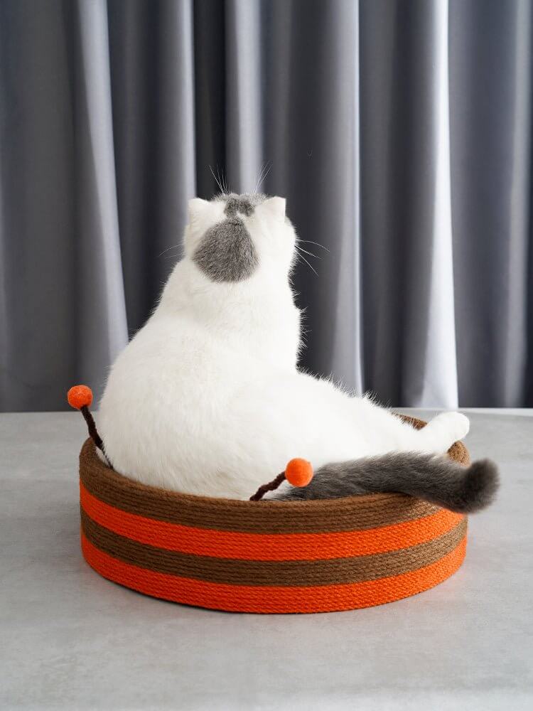 Cute Bee Cat Scratcher Cat Pad Scratching Sisal Bowl Bed - Happy 4 Paws