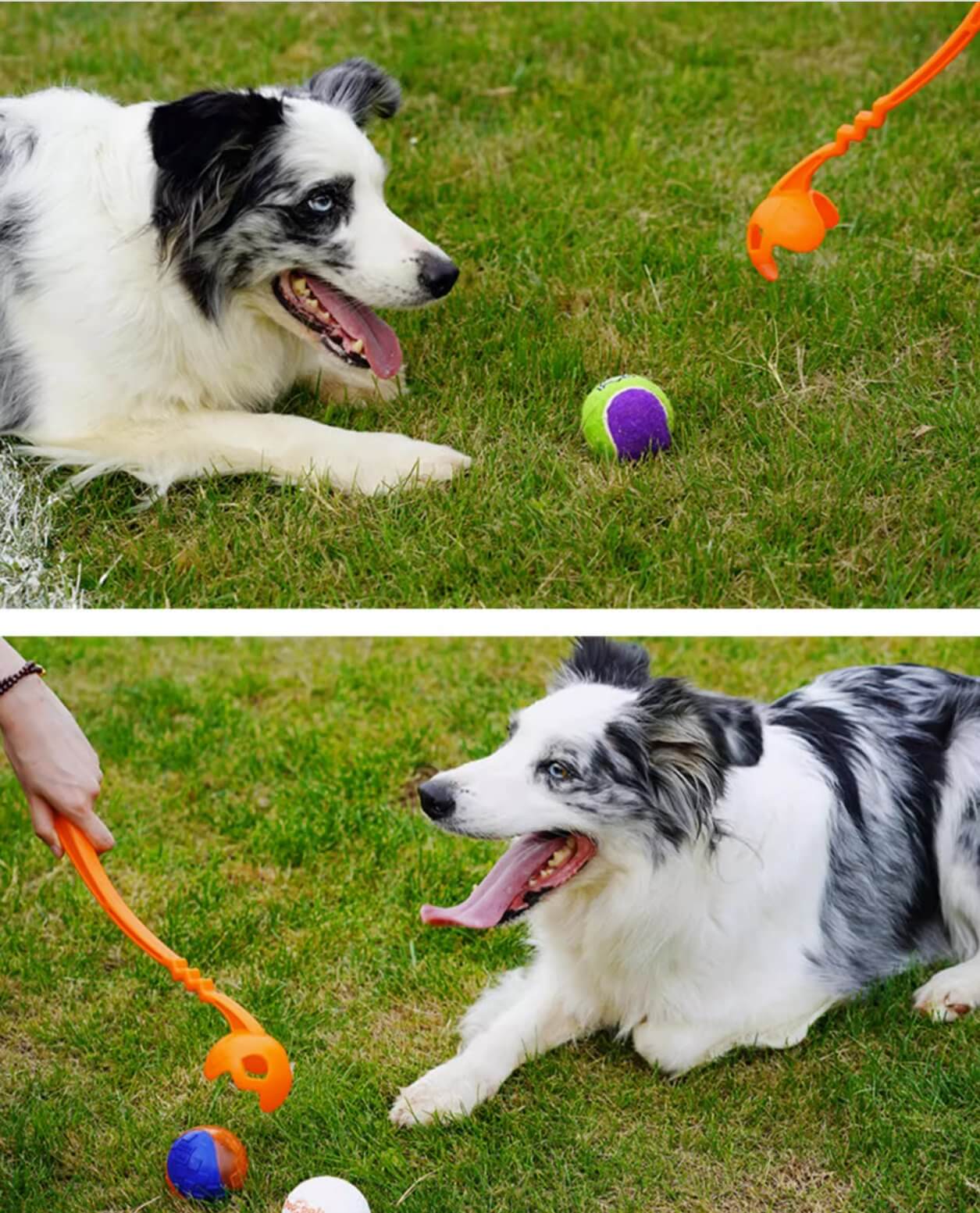 Dog Ball Launcher Set with Sound Tennis Hands Free Thrower Pick Up and Throw Play - Happy 4 Paws