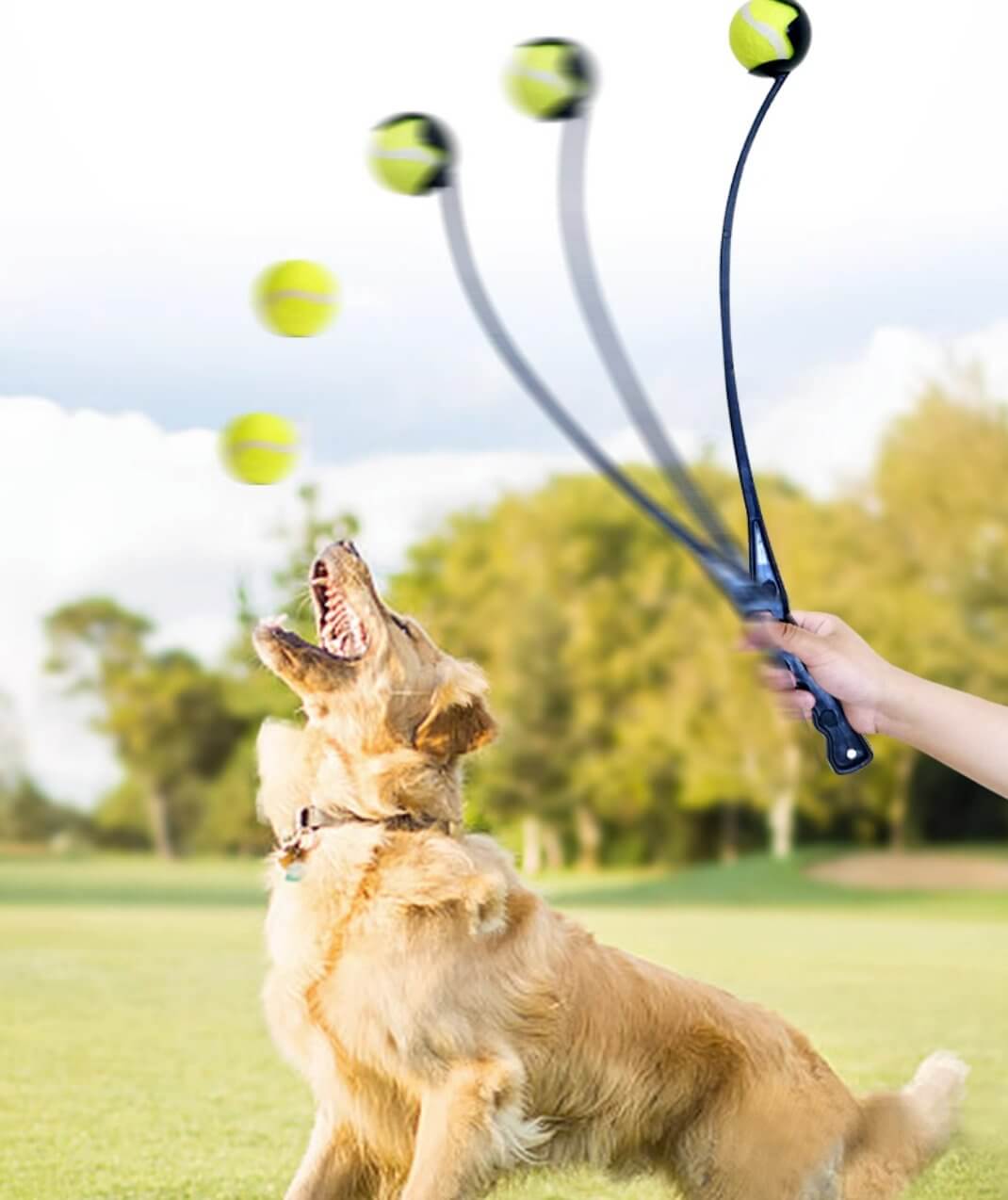 Dog Ball Launcher Thrower Set with 3 Balls - Happy 4 Paws