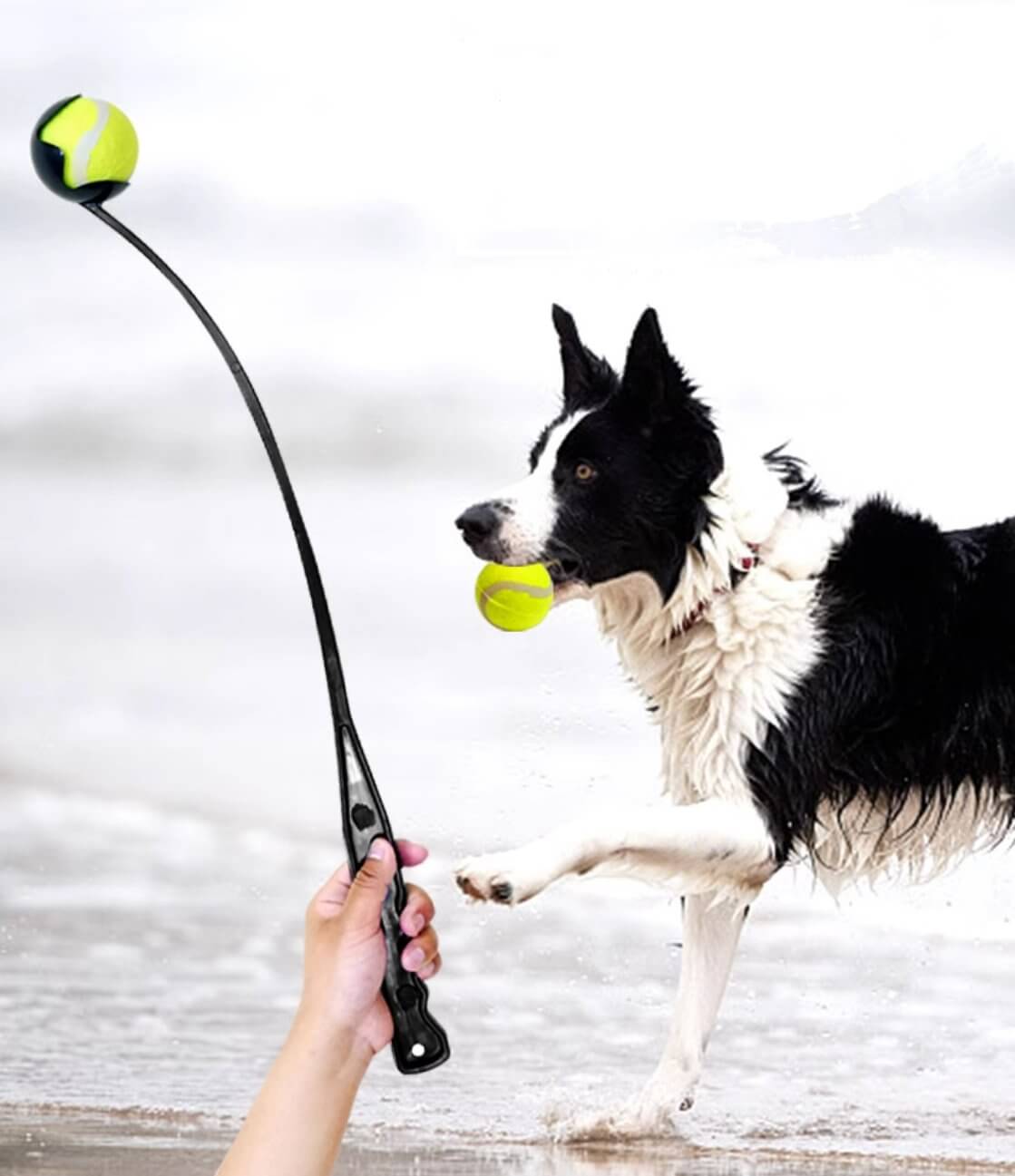 Dog Ball Launcher Thrower Set with 3 Balls - Happy 4 Paws