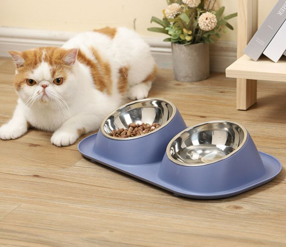 Dog Cat Food and Water Bowl Set With 2 Removable Stainless Steel Feeding Bowls - Happy 4 Paws