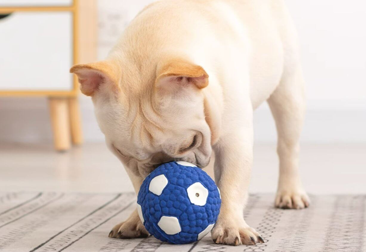 Dog Chew Toy Football Sound Training Ball - Happy 4 Paws