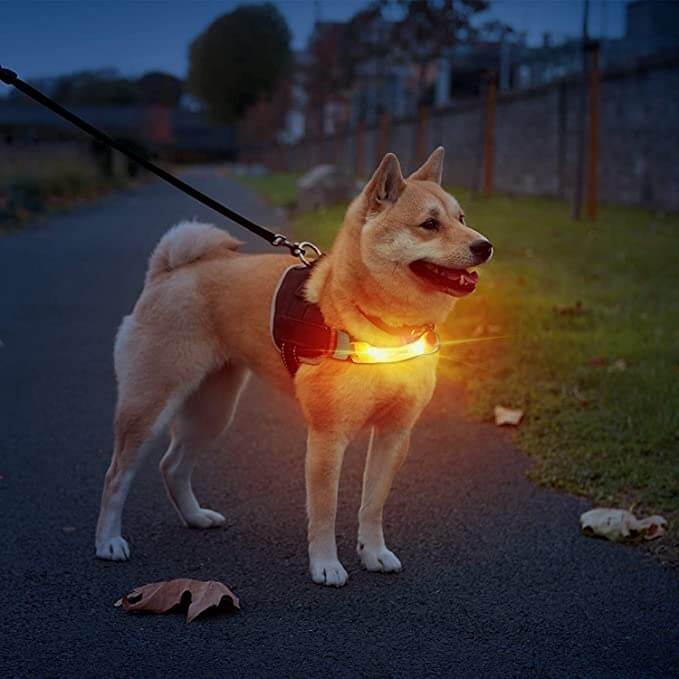 Dog Lights with Nylon Stickers for Night Walking Glowing Accessories for Collar Leash Harness - Happy 4 Paws