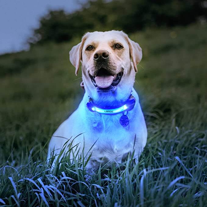 Dog Lights with Nylon Stickers for Night Walking Glowing Accessories for Collar Leash Harness - Happy 4 Paws