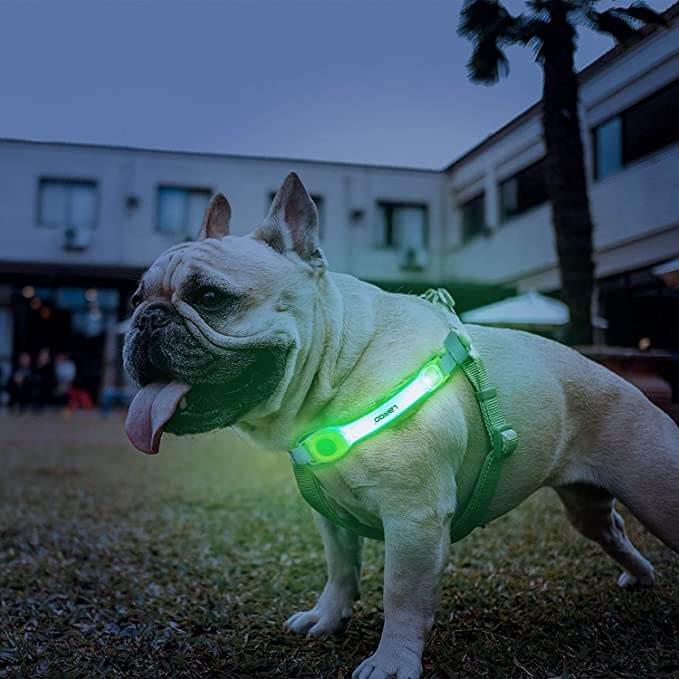 Dog Lights with Nylon Stickers for Night Walking Glowing Accessories for Collar Leash Harness - Happy 4 Paws