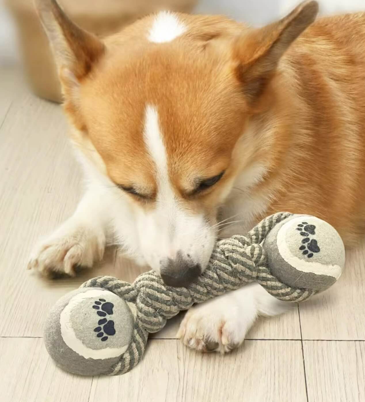 Dog Rope Chew Toy For Interactive Tug of War Fun - Happy 4 Paws