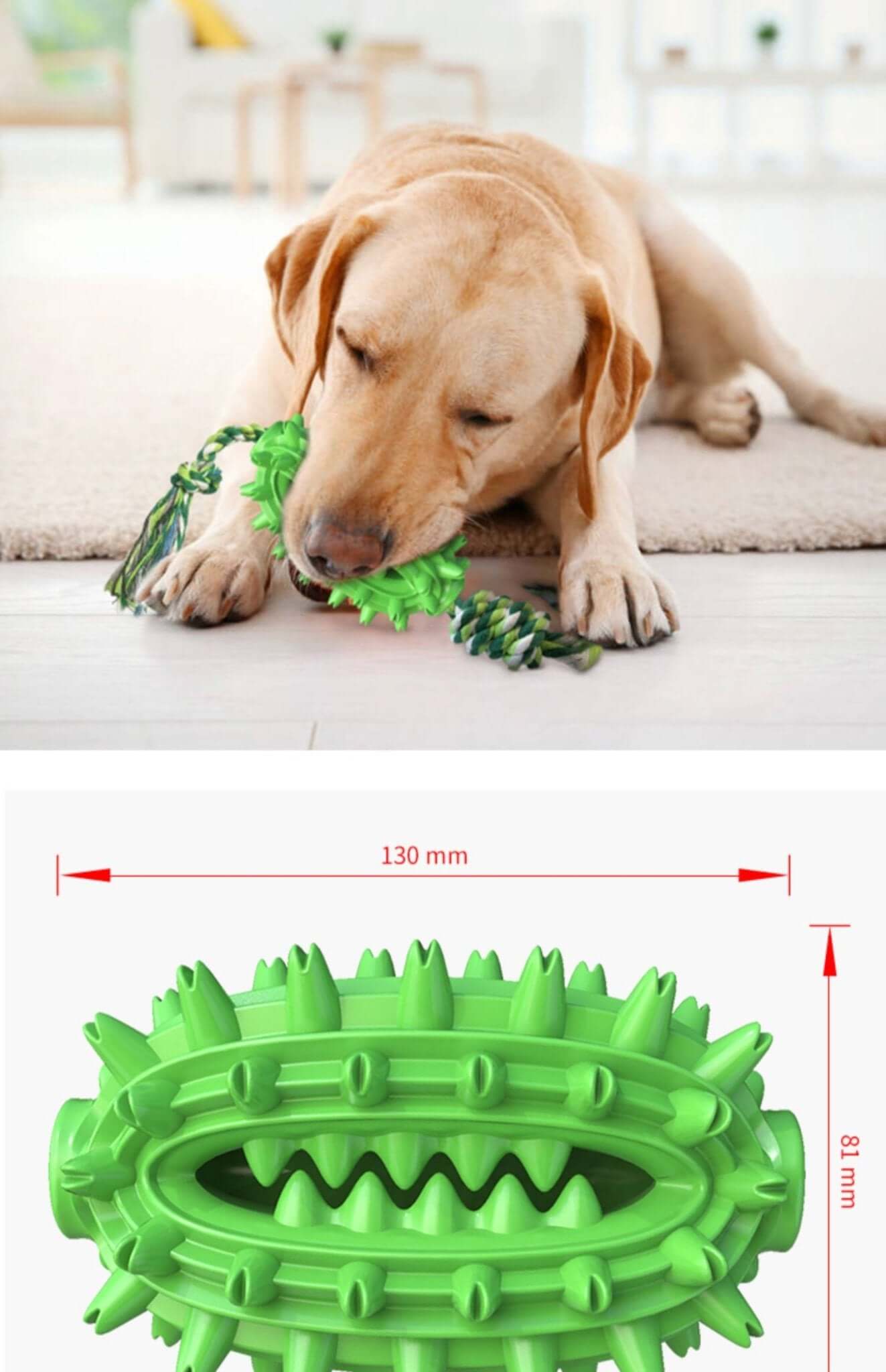 Dog Toothbrush Cactus Chew Toy for Aggressive Chewers Durable Rubber with Rope - Happy 4 Paws