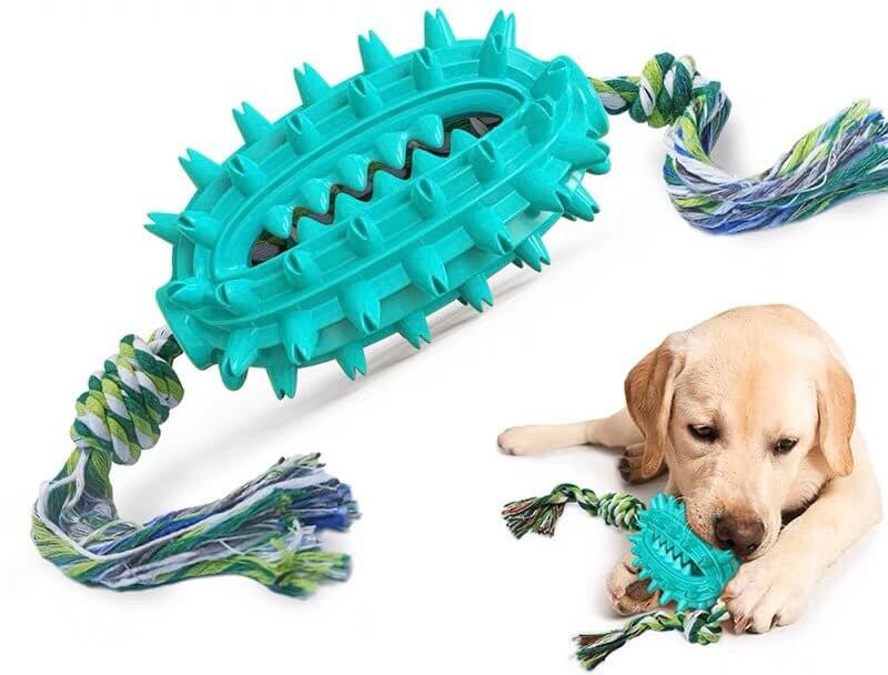 Dog Toothbrush Cactus Chew Toy for Aggressive Chewers Durable Rubber with Rope - Happy 4 Paws