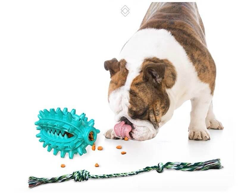 Dog Toothbrush Cactus Chew Toy for Aggressive Chewers Durable Rubber with Rope - Happy 4 Paws