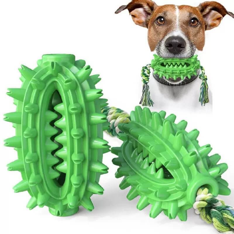 Dog Toothbrush Cactus Chew Toy for Aggressive Chewers Durable Rubber with Rope - Happy 4 Paws