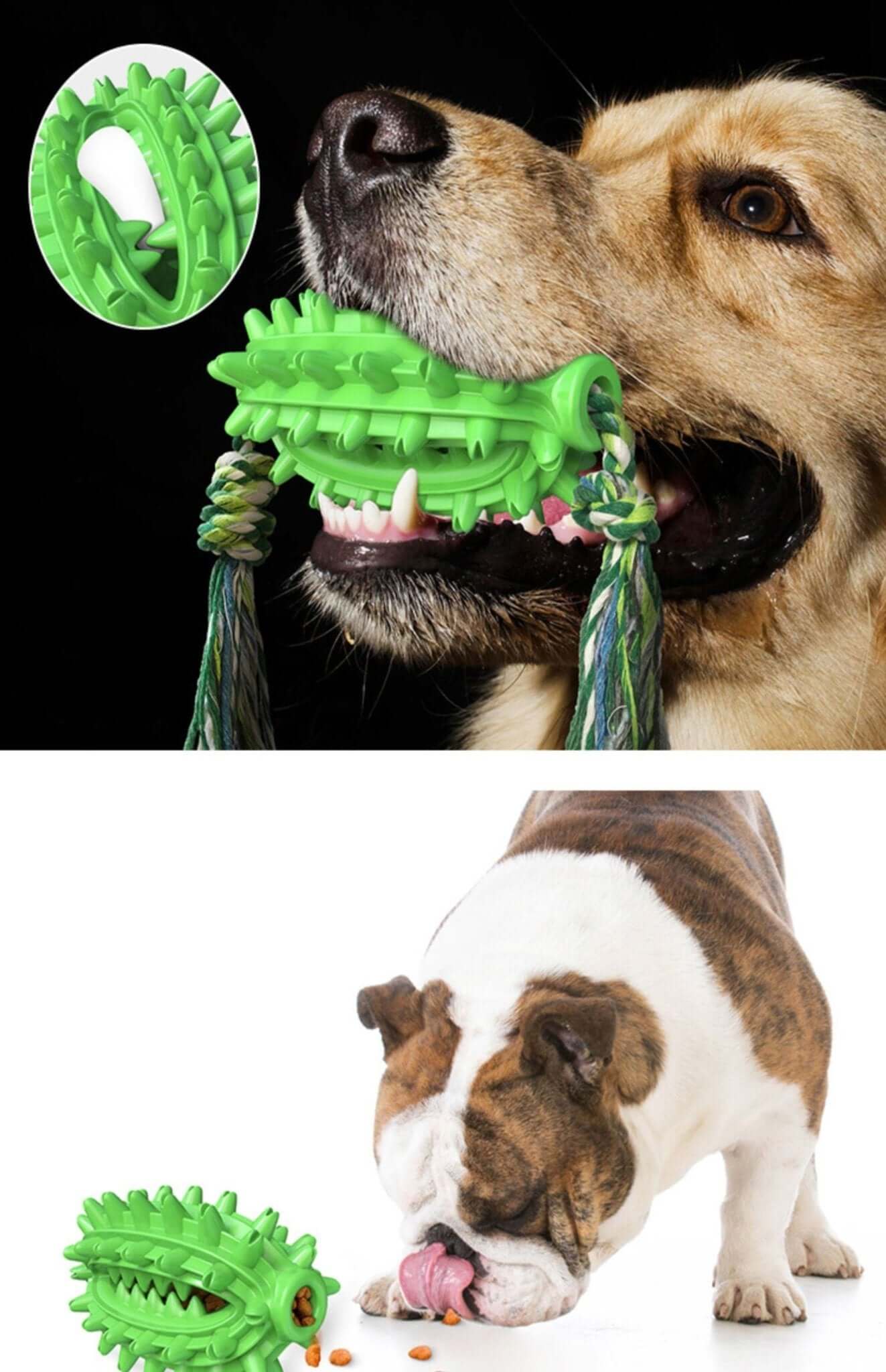 Dog Toothbrush Cactus Chew Toy for Aggressive Chewers Durable Rubber with Rope - Happy 4 Paws