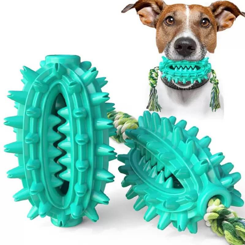 Dog Toothbrush Cactus Chew Toy for Aggressive Chewers Durable Rubber with Rope - Happy 4 Paws