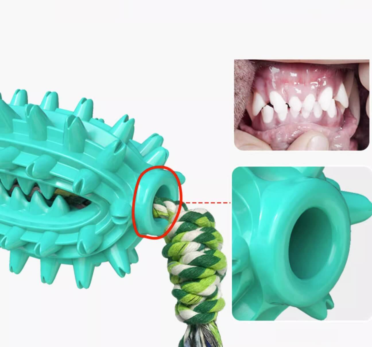 Dog Toothbrush Cactus Chew Toy for Aggressive Chewers Durable Rubber with Rope - Happy 4 Paws