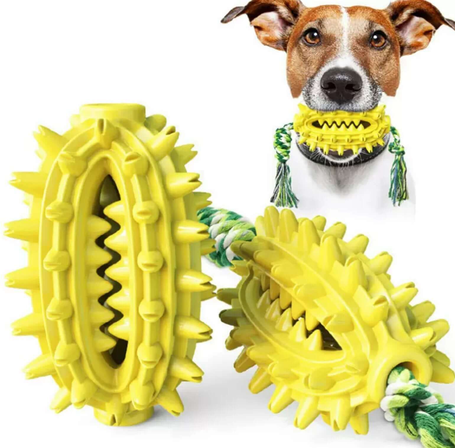 Dog Toothbrush Cactus Chew Toy for Aggressive Chewers Durable Rubber with Rope - Happy 4 Paws